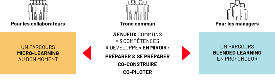 Programme formation conduite entretiens individuels